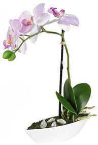 XXXLutz ORCHIDEA orchidea 28 cm - Kvetinové dekorácie - 0041770478