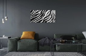 Sklenený obraz zebra fur 100x50 cm