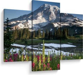 Obraz - Mount Rainier (90x60 cm)