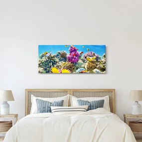 Obraz - Morský svet (120x50 cm)