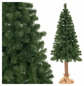 SPRINGOS Vianočný stromček Borovica na kmienku 160 cm
