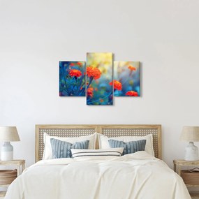 Obraz - Oranžové kvety (90x60 cm)