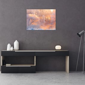 Sklenený obraz - Mrazivé svitanie (70x50 cm)