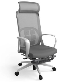 Ergonomická kancelárska stolička Liftor Orca, sivá