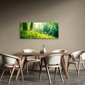 Obraz - Magická lúka plná púpav (120x50 cm)