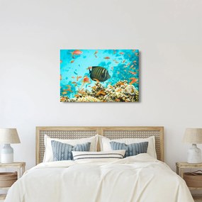 Obraz podmorského sveta (90x60 cm)