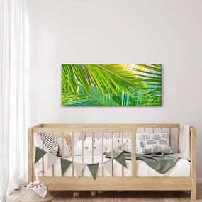 Obraz - Palmové listy (120x50 cm)