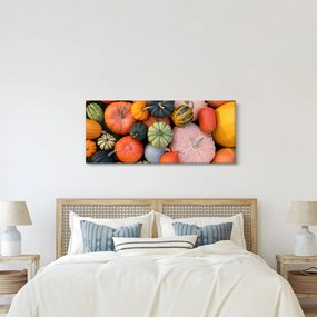 Obraz - Tekvica (120x50 cm)