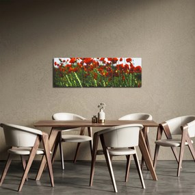 Obraz vlčích makov vo vetre (s hodinami) (90x30 cm)