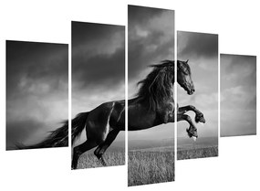 Čiernobiely obraz koňa (150x105 cm)