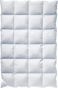 XXXLutz ZIMNÁ PRIKRÝVKA, 135/200 cm, kačacie páperie, kačacie perie Billerbeck - Prikrývky & vankúše - 003279054301