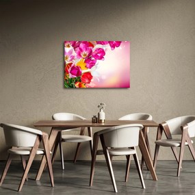 Obraz tulipánov (70x50 cm)
