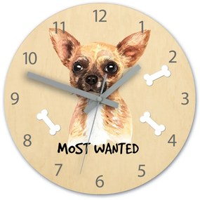 Dětské nástěnné hodiny Ami Čivava 30 cm vícebarevné