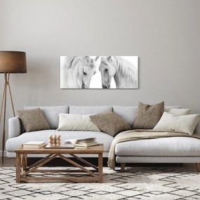 Obraz bielych koní (120x50 cm)