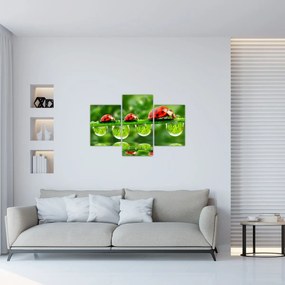 Obraz - Lienka sedembodková (90x60 cm)