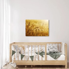 Obraz - Klasy obilia (70x50 cm)