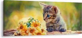 Obraz mačiatka pozerajúce sa na kvetinu (120x50 cm)
