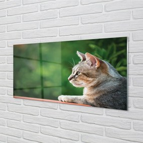 Sklenený obraz vyzerajúci mačka 120x60 cm