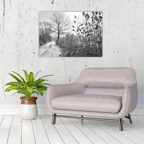 Sklenený obraz - Pole v zime (70x50 cm)