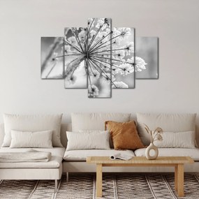Obraz - Kvetina v zime (150x105 cm)