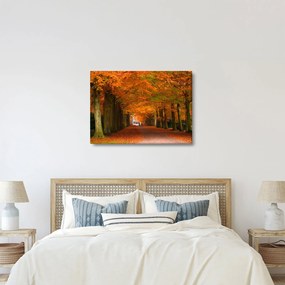 Obraz - Jeseň Alej stromov (70x50 cm)