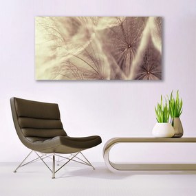 Obraz plexi Púpava rastlina 120x60 cm