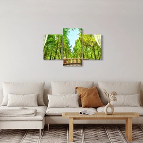 Obraz - Výhľad na les (90x60 cm)