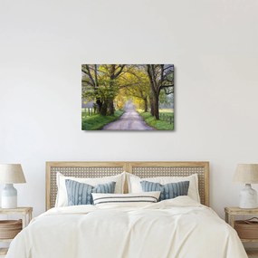 Obraz - Smoky Mountains, Gatlinburg, USA (70x50 cm)