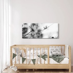 Obraz - Čiernobiele kvety (120x50 cm)