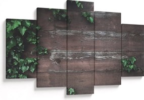 Obraz - Brečtan (150x105 cm)