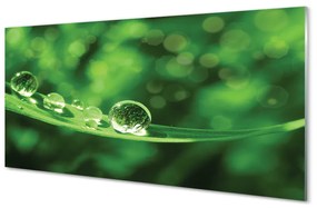 Obraz na skle Vodné kvapky makro 100x50 cm