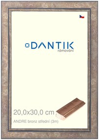 DANTIK rám na obraz 20x30 | ANDRE bronz střední (Sklo Čiré)