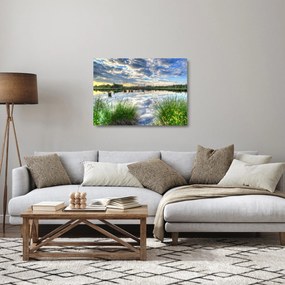 Sklenený obraz jazera s tŕstím (70x50 cm)