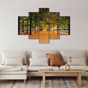 Obraz aleje jesenných stromov (150x105 cm)