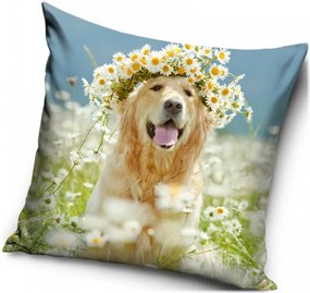 Dekoračný vankúš Zlatý retriever - 40 x 40 cm