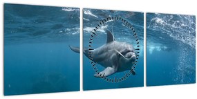 Obraz - Delfín pod hladinou (s hodinami) (90x30 cm)