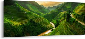 Obraz - Ryžové terasy Mu Cang Chai (120x50 cm)