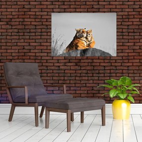 Obraz - Tigrice a jej mláďa, čiernobiely variant (90x60 cm)