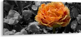 Obraz kvetu (120x50 cm)