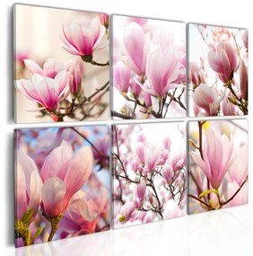 Artgeist Obraz - Southern magnolias Veľkosť: 120x80, Verzia: Premium Print
