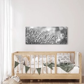 Obraz - Béžová soft grass N⁰1 (120x50 cm)