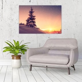Obraz zasneženého stromu na lúke (90x60 cm)