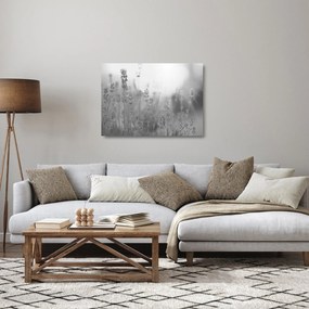 Sklenený obraz - Levanduľa (70x50 cm)
