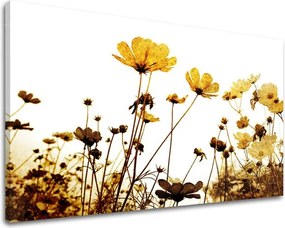 Obraz na stenu KVETY XOBKV143E11 - 20x30 cm
