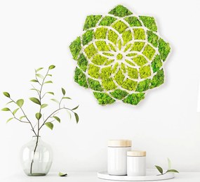 Nástenná MDF dekorácia Sedmokráska zelená