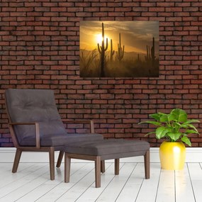 Obraz - Kaktusy Saguaro (70x50 cm)