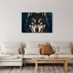 Obraz - Vlk (90x60 cm)