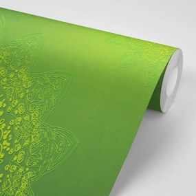 Samolepiaca tapeta moderné prvky Mandaly v zelenej - 375x250