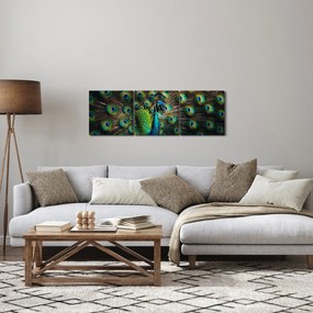 Obraz – Páv (s hodinami) (90x30 cm)