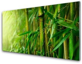 Nástenný panel  Bambus stonky rastlina 100x50 cm